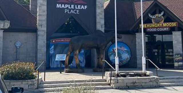 Ultimate Bike Tours of Niagara Falls - Bikes Niagara